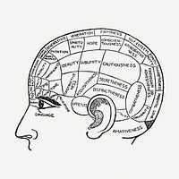 Phrenology chart drawing, vintage neurology illustration psd. Free public domain CC0 image.