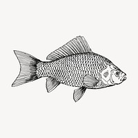 Fish clipart, vintage sea animal illustration vector. Free public domain CC0 image.