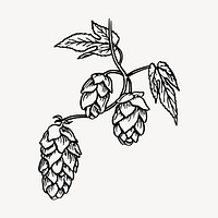 Hops clipart, vintage brewing illustration vector. Free public domain CC0 image.