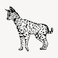 Serval clipart, vintage animal illustration vector. Free public domain CC0 image.