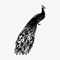 Peacock clipart, vintage animal illustration vector. Free public domain CC0 image.