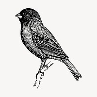 Indigo bunting bird clipart, vintage animal illustration vector. Free public domain CC0 image.