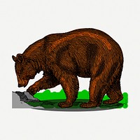 Grizzly bear sticker, vintage animal illustration psd. Free public domain CC0 image.