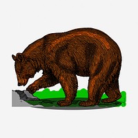 Grizzly bear clipart, vintage animal illustration. Free public domain CC0 image.