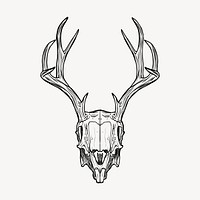 Deer skull drawing, vintage illustration vector. Free public domain CC0 image.