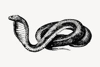 French snake drawing, vintage animal illustration vector. Free public domain CC0 image.