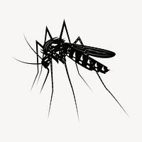 Mosquito drawing, vintage insect illustration vector. Free public domain CC0 image.