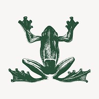 Green frog clipart, vintage animal illustration vector. Free public domain CC0 image.