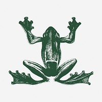 Green frog clipart, vintage animal illustration. Free public domain CC0 image.