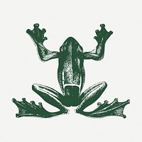 Green frog sticker, vintage animal illustration psd. Free public domain CC0 image.