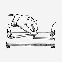 Hand operating signal key drawing, vintage illustration. Free public domain CC0 image.