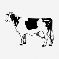 Cow, bull clipart, farm animal vintage illustration vector. Free public domain CC0 image.