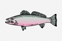 Fish clipart, sea animal vintage illustration vector. Free public domain CC0 image.