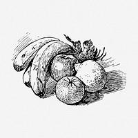 Fruits clipart, still life vintage illustration vector. Free public domain CC0 image.