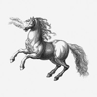 Rearing horse clipart, animal vintage illustration vector. Free public domain CC0 image.