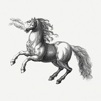 Rearing horse drawing, animal vintage illustration psd. Free public domain CC0 image.