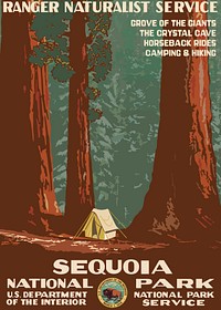 National park poster, camping illustration psd. Free public domain CC0 image.