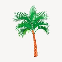 Palm tree, tropical plant illustration. Free public domain CC0 image.