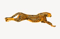Leopard collage element, animal illustration psd. Free public domain CC0 image.