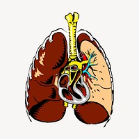 Human lungs collage element, medical illustration psd. Free public domain CC0 image.