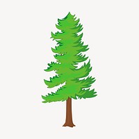 Pine tree clipart, botanical illustration vector. Free public domain CC0 image.