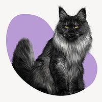 Angora cat blob shape sticker, animal image psd