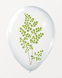 Fern leaf in clear balloon
