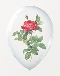 Red rose in clear balloon, valentine's flower