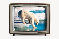 Polar bear walking on ice on retro television, environment photo
