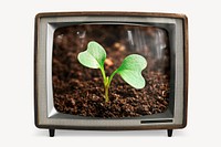 Growing sprout on retro television, environment photo