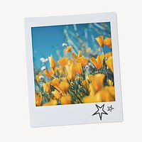 Instant photo frame mockup, tulip flower field aesthetic psd