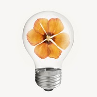 Dry anemone flower light bulb, Autumn aesthetic graphic