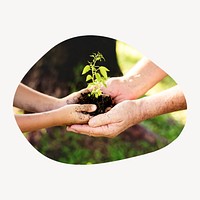 Growing sprout on hands badge, environment photo in blob shape