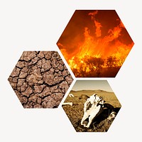 Global warming badge, animal endangerment photo in hexagon shape
