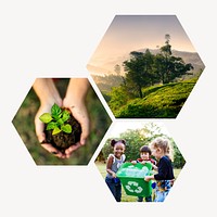 Save the earth badge, environment photo in hexagon shape