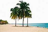 Summer beach background, tropical holidays