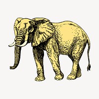 Elephant clipart, wild animal illustration vector. Free public domain CC0 image.