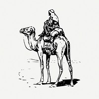 Camel rider drawing, vintage animal illustration psd. Free public domain CC0 image.