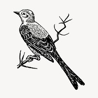 Scissor-tailed flycatcher bird clipart, vintage animal illustration vector. Free public domain CC0 image.