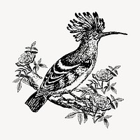 Exotic bird clipart, vintage animal illustration vector. Free public domain CC0 image.