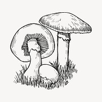 Mushroom clipart, vintage vegetable illustration vector. Free public domain CC0 image.