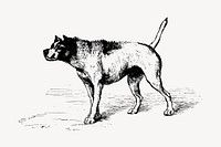 Dog clipart, vintage animal illustration vector. Free public domain CC0 image.