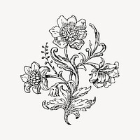 Ornamental flower clipart, vintage botanical illustration vector. Free public domain CC0 image.