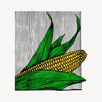 Corn clipart, vintage vegetable illustration vector. Free public domain CC0 image.