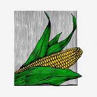 Corn clipart, vintage vegetable illustration. Free public domain CC0 image.