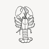 Lobster clipart, seafood illustration vector. Free public domain CC0 image.