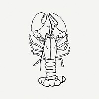 Lobster collage element, seafood illustration psd. Free public domain CC0 image.