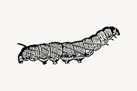 Caterpillar clipart, insect illustration vector. Free public domain CC0 image.