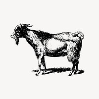 Goat clipart, farm animal illustration vector. Free public domain CC0 image.