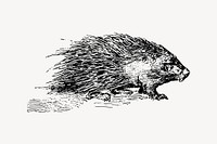 Porcupine clipart, rodent animal illustration vector. Free public domain CC0 image.